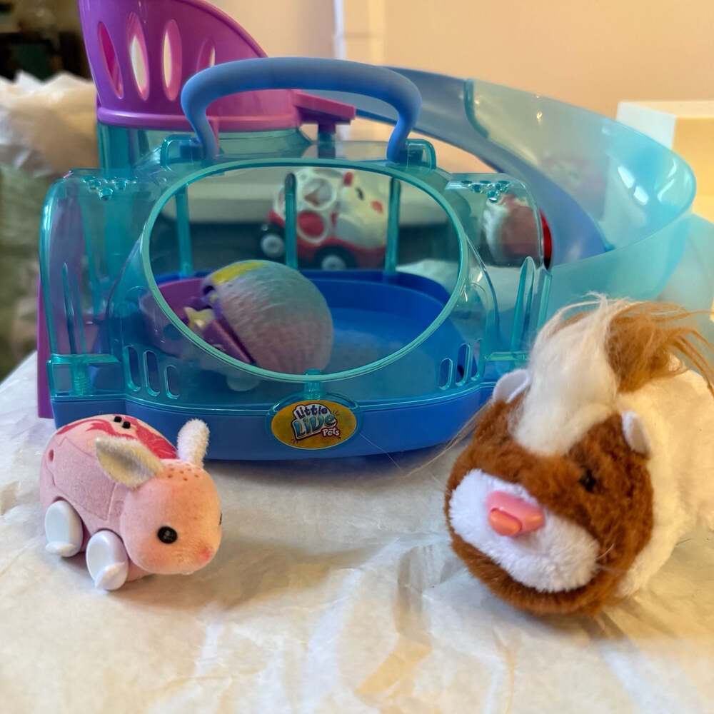 Little Live Pets Lil' Hedgehog Playset with Hedgehog House, Slide, and Assorted